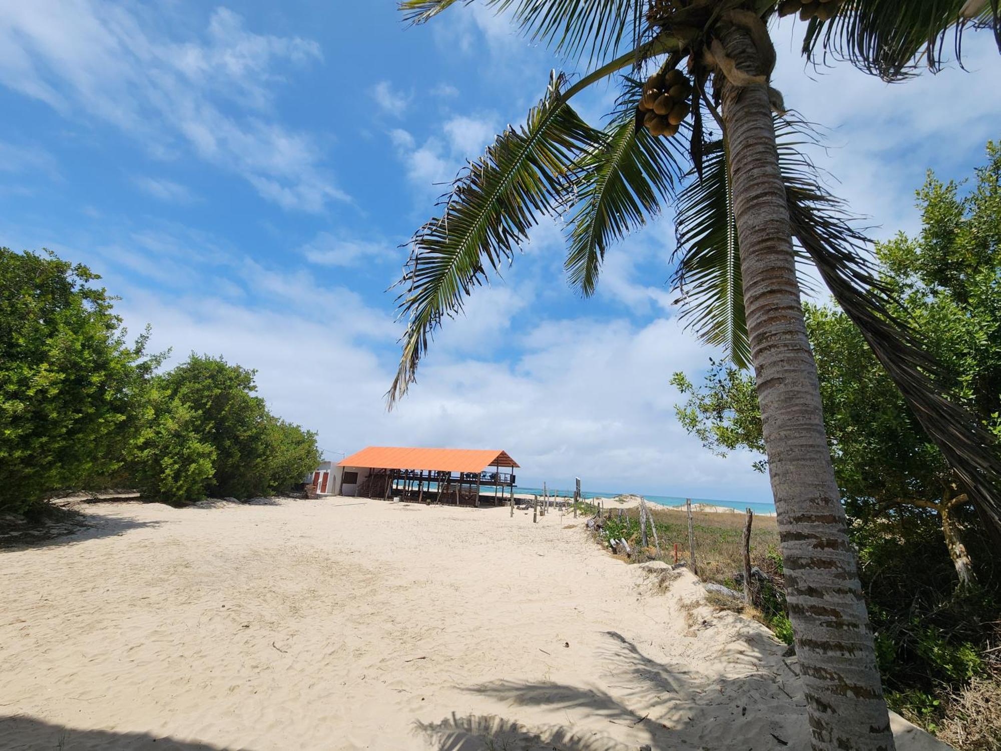 Hotel La Jungla Puerto Villamil Buitenkant foto